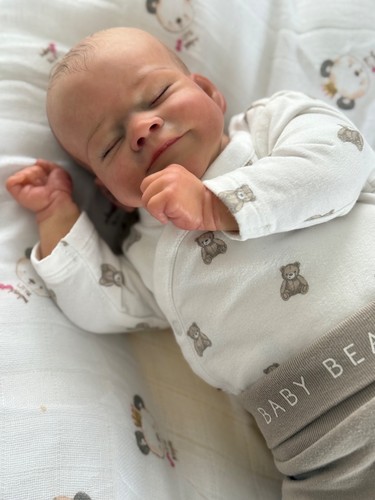 Reborn baby renee - baby,